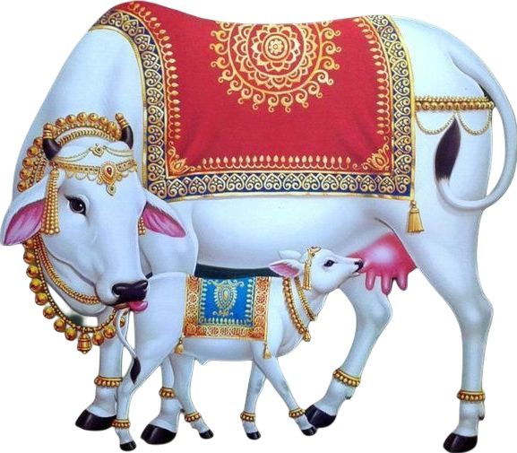 Gau Mata Chalisa