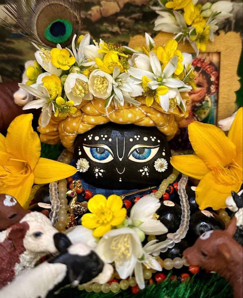 Shaligram Stotra in Hindi